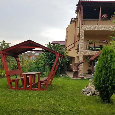 Razvan 招待所 科斯蒂内什蒂