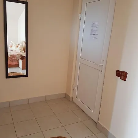 Guest house Vila Razvan Costinesti