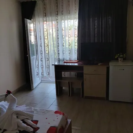Vila Razvan Guest house