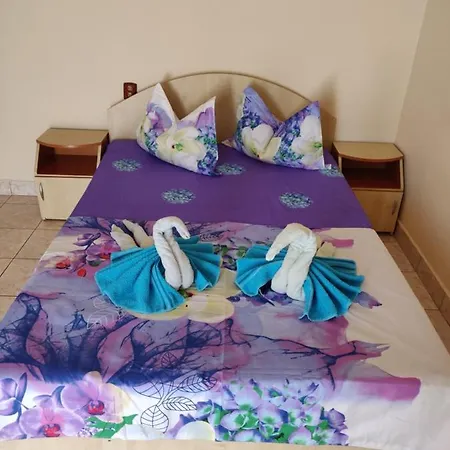 Vila Razvan Guest house 3*