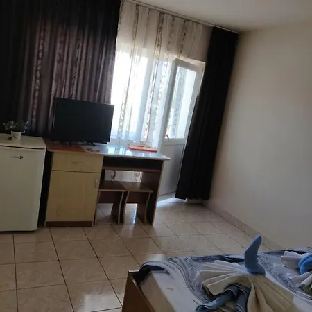 Vila Razvan Guest house