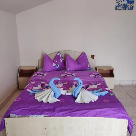 Vila Razvan Guest house