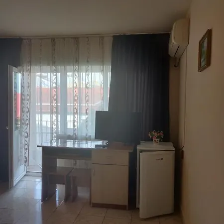 Vila Razvan Guest house