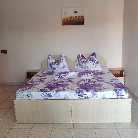 بيت ضيافة Razvan