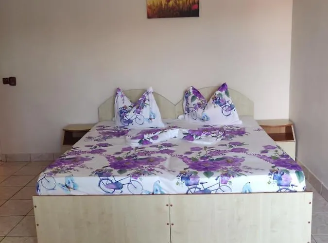 Πανσιόν Razvan